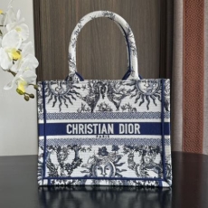 Christian Dior Shopping Bags